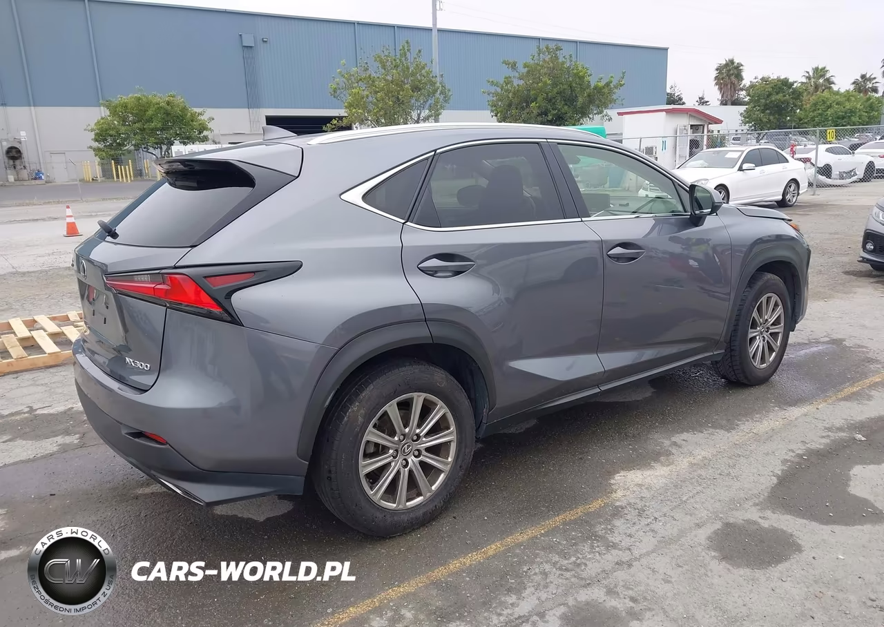 2021 Lexus Nx 300 VIN:JTJDARDZXM2253278 - 4