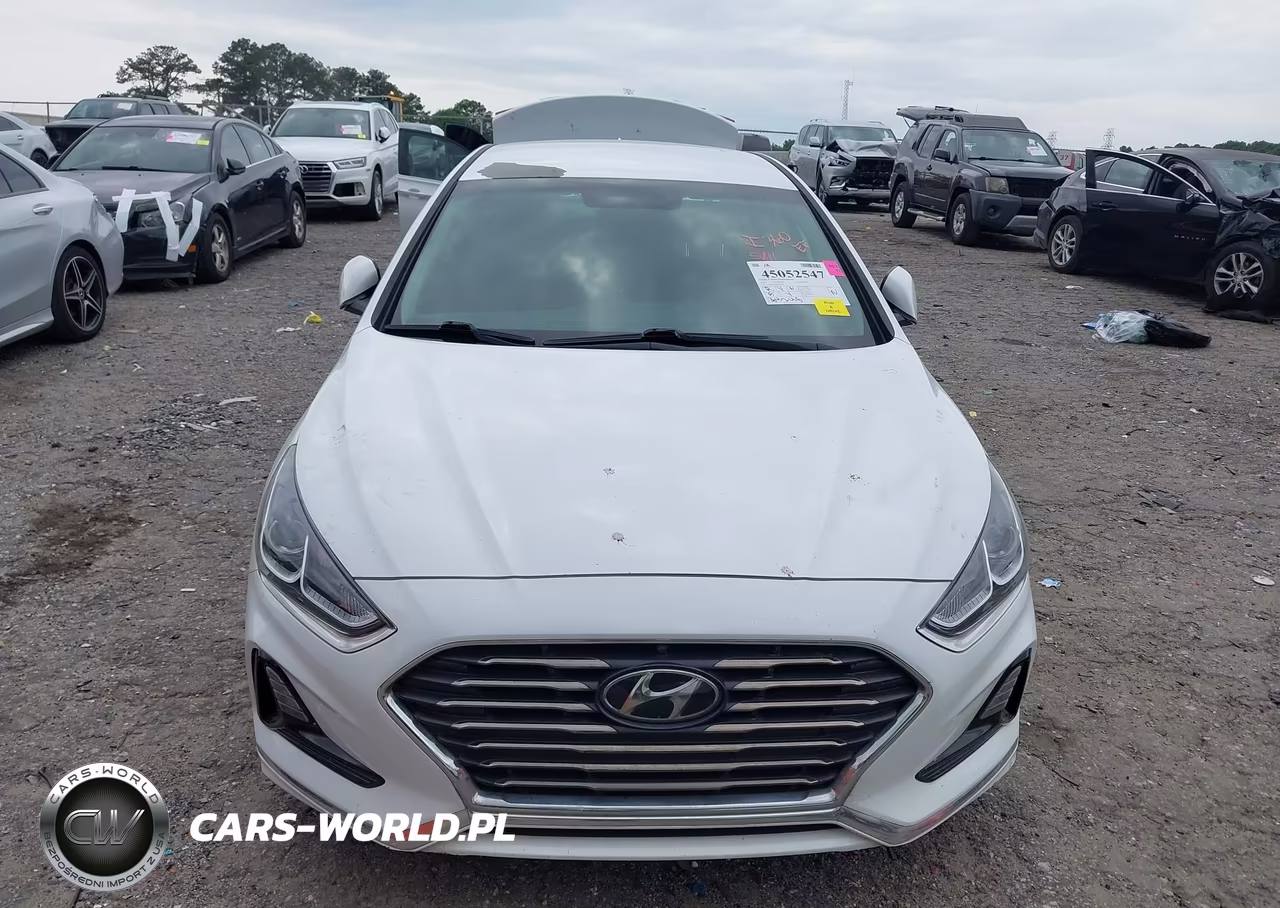 2019 Hyundai Sonata Se VIN:5NPE24AF1KH762351 - 12