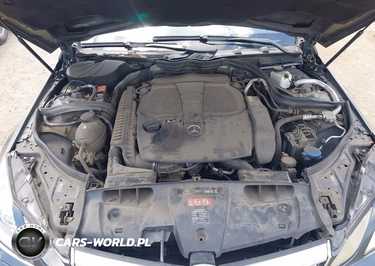 2013 Mercedes-Benz E 350 VIN:WDDKJ5KB3DF193027 - 10