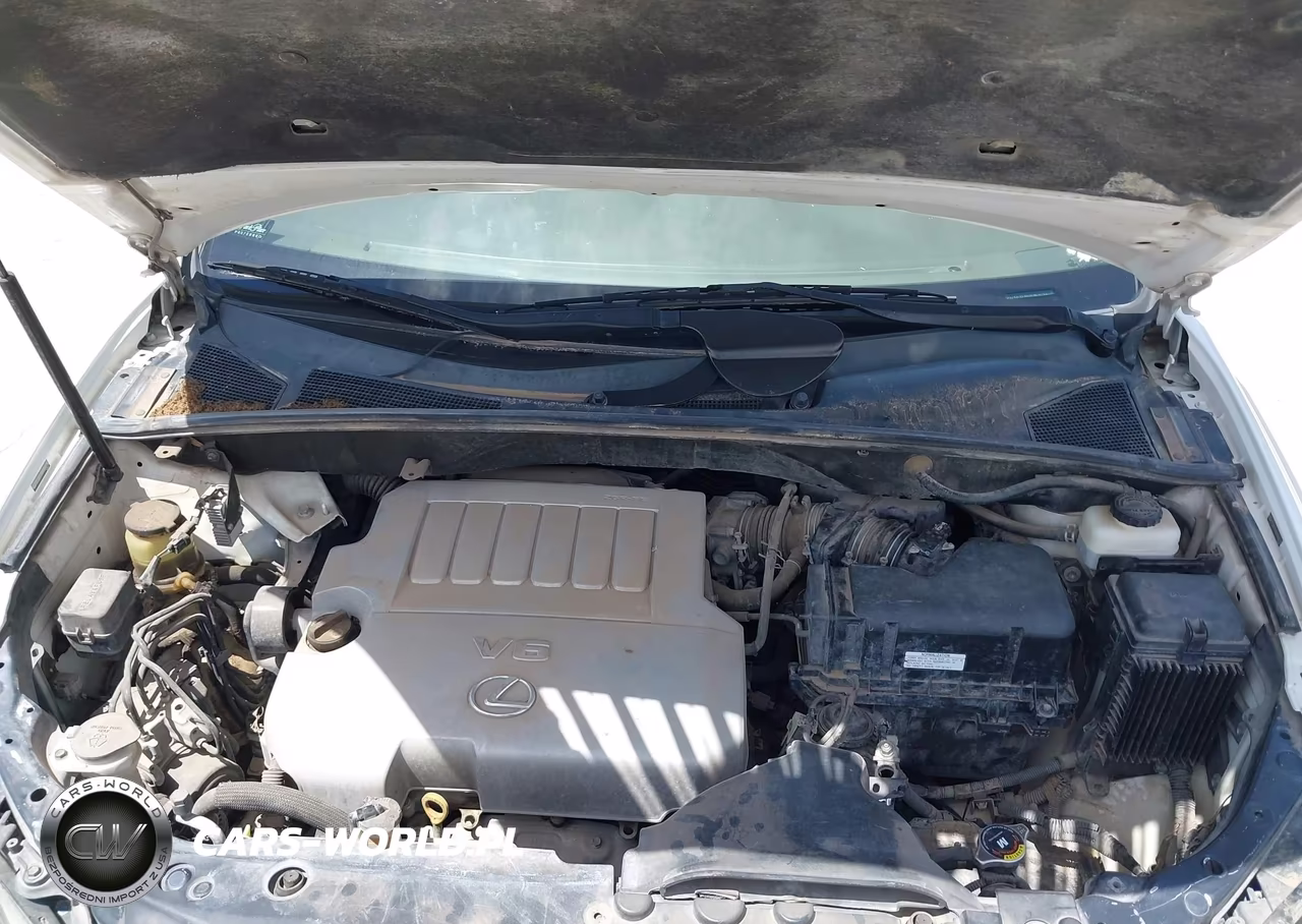 2009 Lexus Rx 350 VIN:2T2GK31U49C064715 - 10