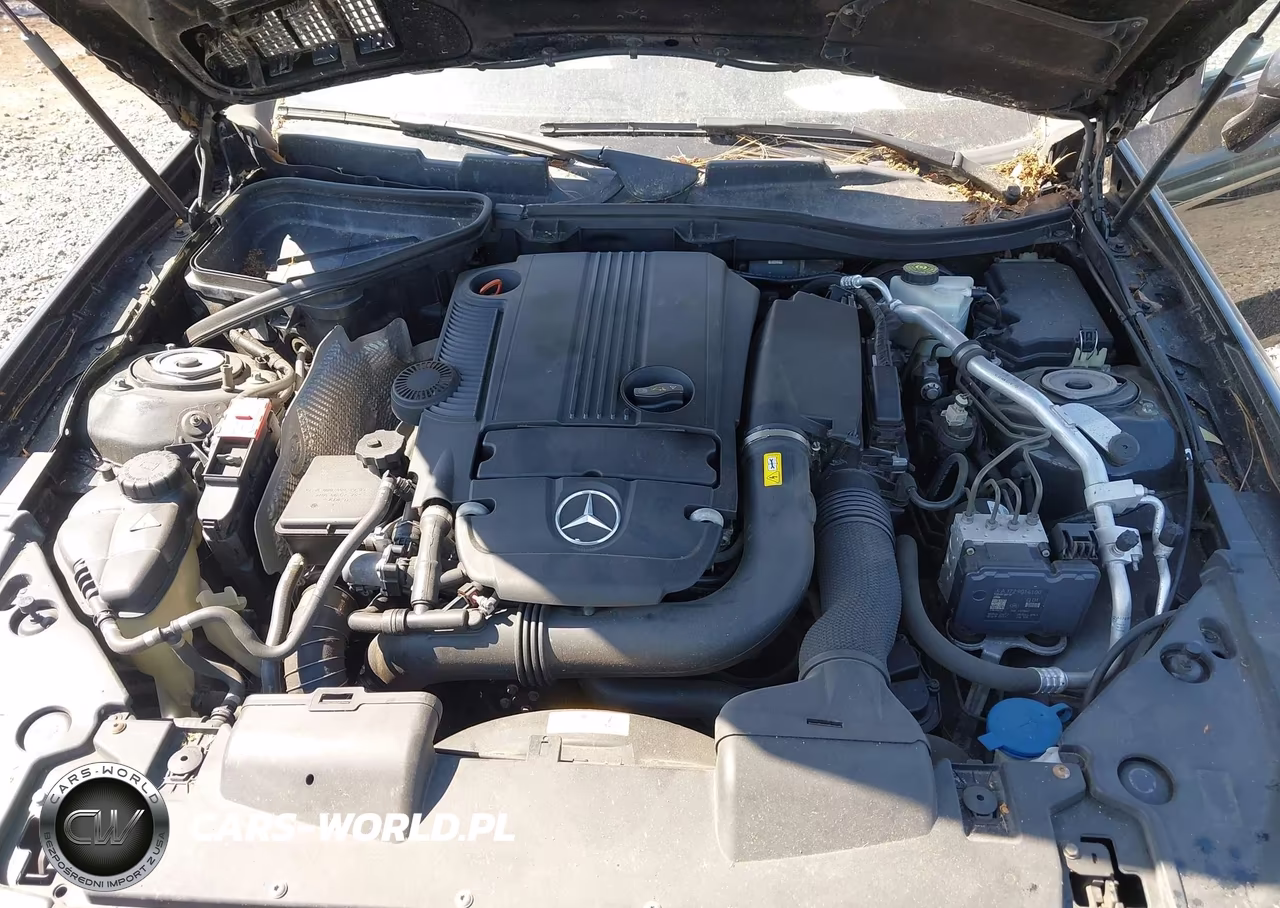 2012 Mercedes-Benz Slk 250 VIN:WDDPK4HA0CF036596 - 10
