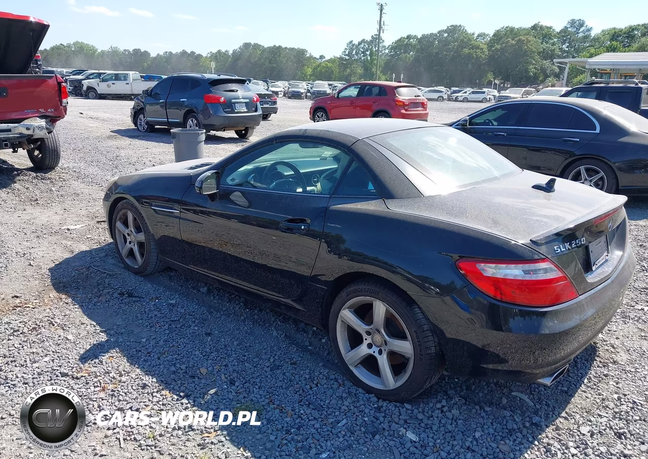 2012 Mercedes-Benz Slk 250 VIN:WDDPK4HA0CF036596 - 3