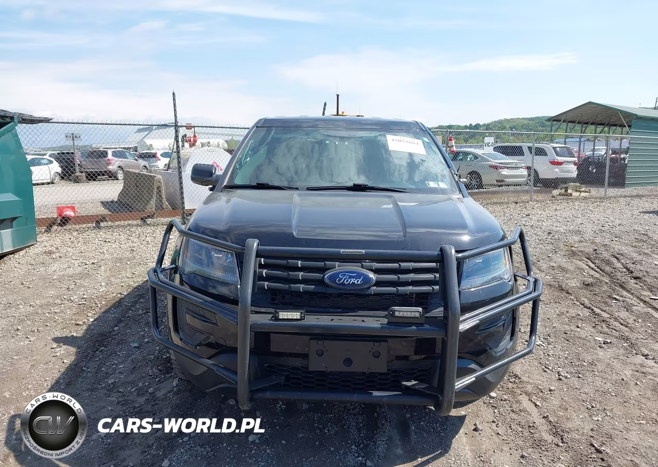 2018 Ford Police Interceptor Utility VIN:1FM5K8AR8JGA71494 - 13