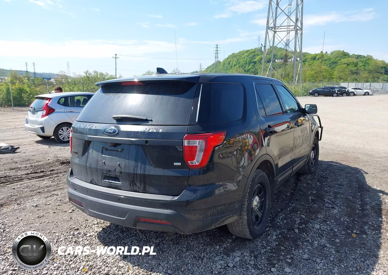 2018 Ford Police Interceptor Utility VIN:1FM5K8AR8JGA71494 - 4