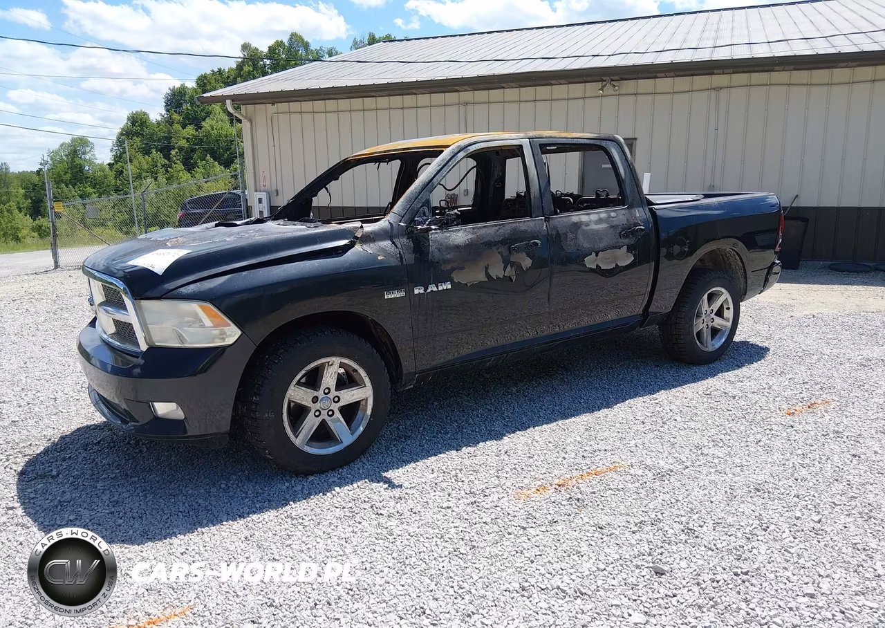 2010 Dodge Ram 1500 Slt-Sport-Trx VIN:1D7RV1CT3AS123260 - 2