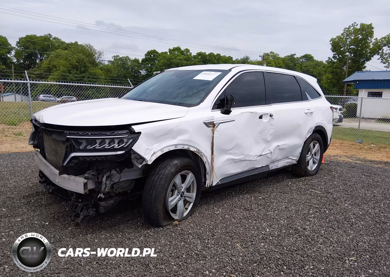 2021 Kia Sorento Lx VIN:5XYRG4LCXMG068290 - 2