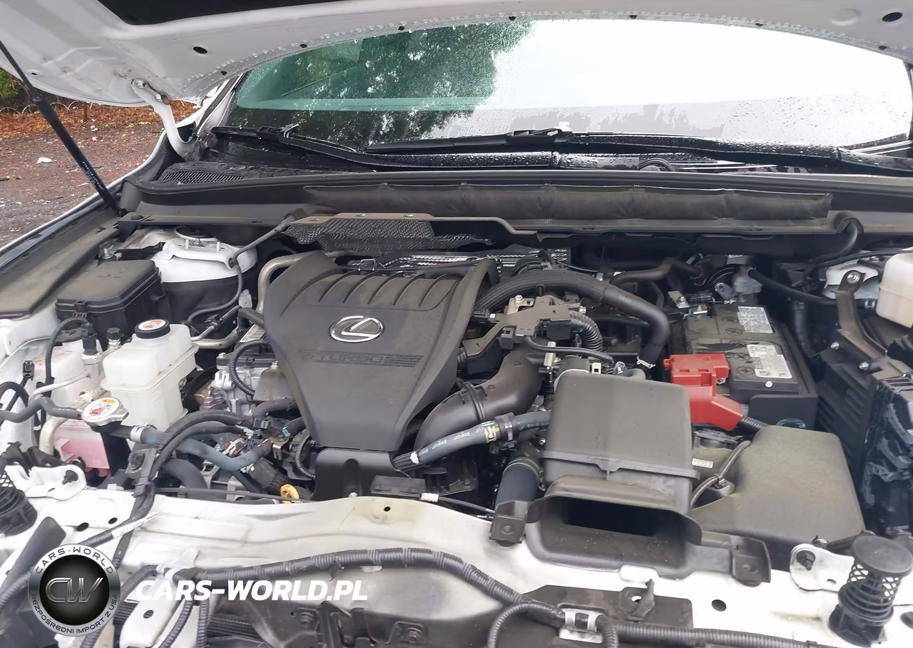 2024 Lexus Rx 350 Premium Plus VIN:2T2BAMBA4RC034055 - 10