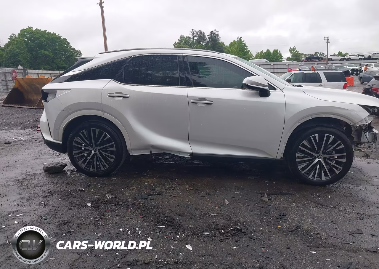 2024 Lexus Rx 350 Premium Plus VIN:2T2BAMBA4RC034055 - 14