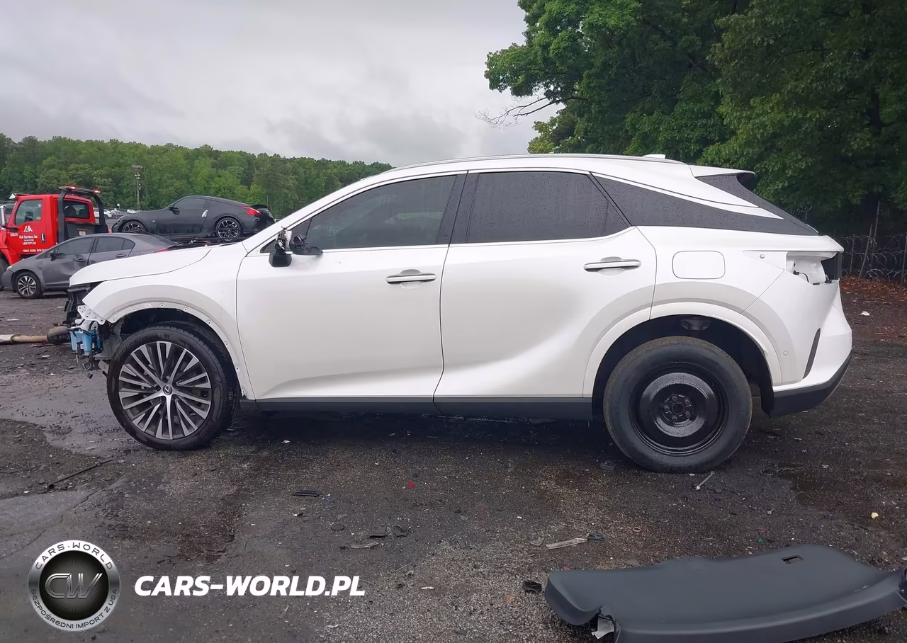 2024 Lexus Rx 350 Premium Plus VIN:2T2BAMBA4RC034055 - 15
