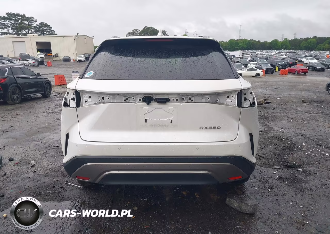 2024 Lexus Rx 350 Premium Plus VIN:2T2BAMBA4RC034055 - 17