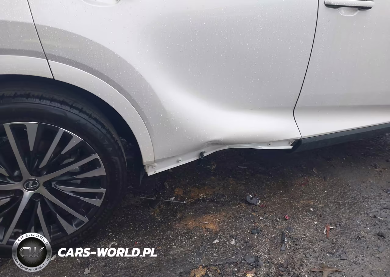 2024 Lexus Rx 350 Premium Plus VIN:2T2BAMBA4RC034055 - 18