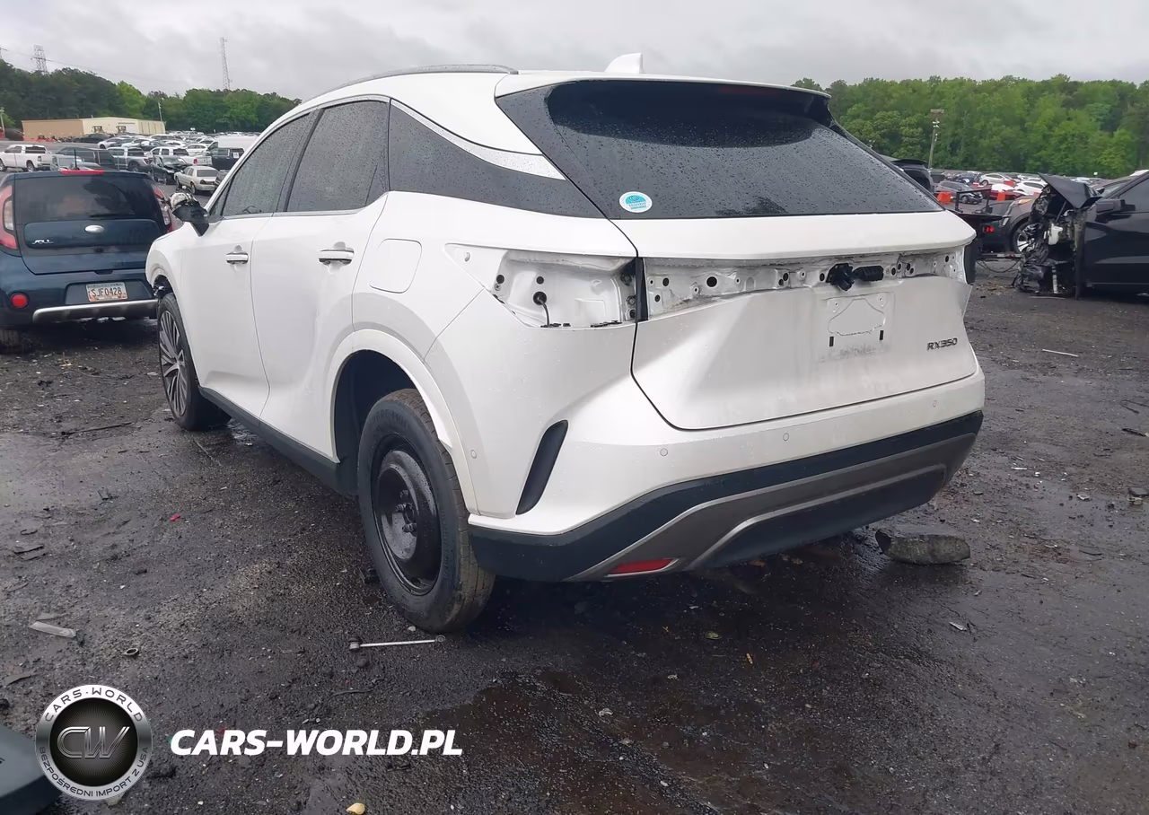 2024 Lexus Rx 350 Premium Plus VIN:2T2BAMBA4RC034055 - 3