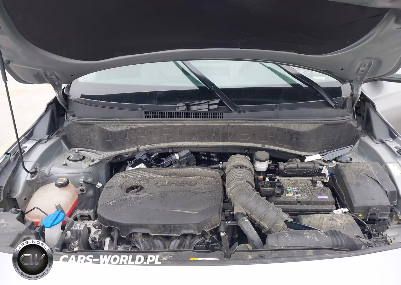 2023 Kia Seltos Sx Turbo VIN:KNDETCA26P7383023 - 10
