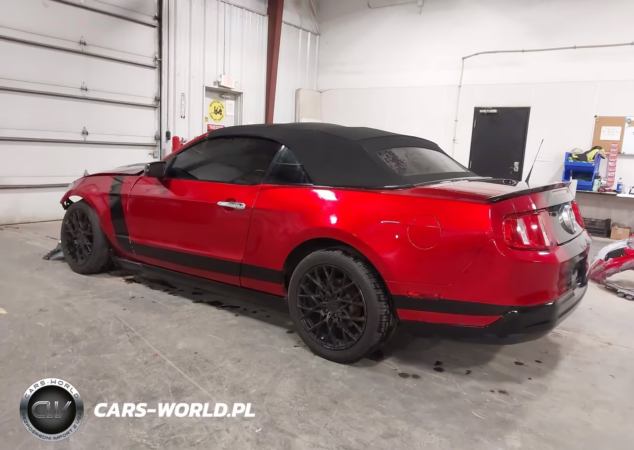 2010 Ford Mustang V6-V6 Premium VIN:1ZVBP8EN3A5108721 - 3