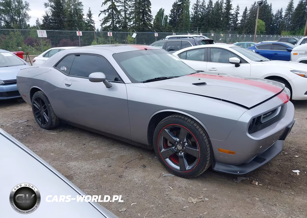 2013 Dodge Challenger Rallye Redline VIN:2C3CDYAG4DH681958 - 13