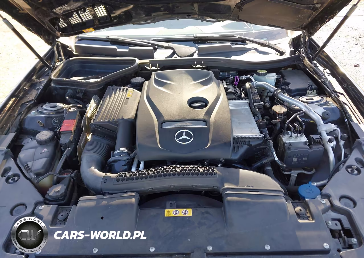 2016 Mercedes-Benz Slk 300 VIN:WDDPK3JA4GF124481 - 10