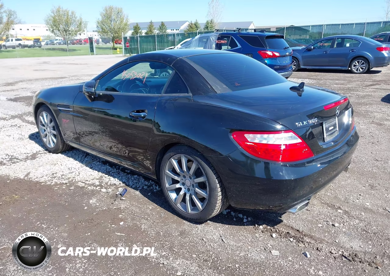 2016 Mercedes-Benz Slk 300 VIN:WDDPK3JA4GF124481 - 3