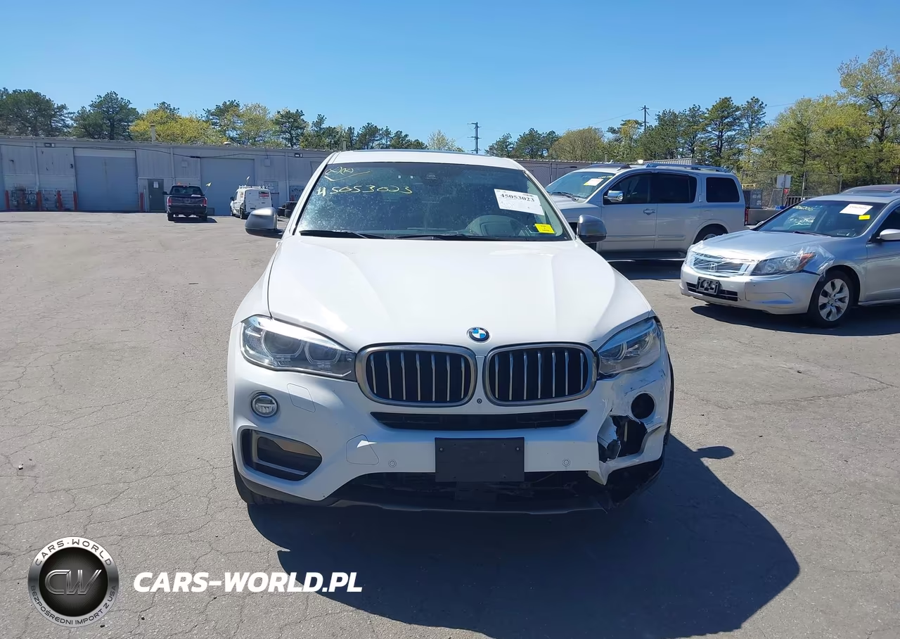 2016 BMW X6 xDrive35I VIN:5UXKU2C55G0N79477 - 12