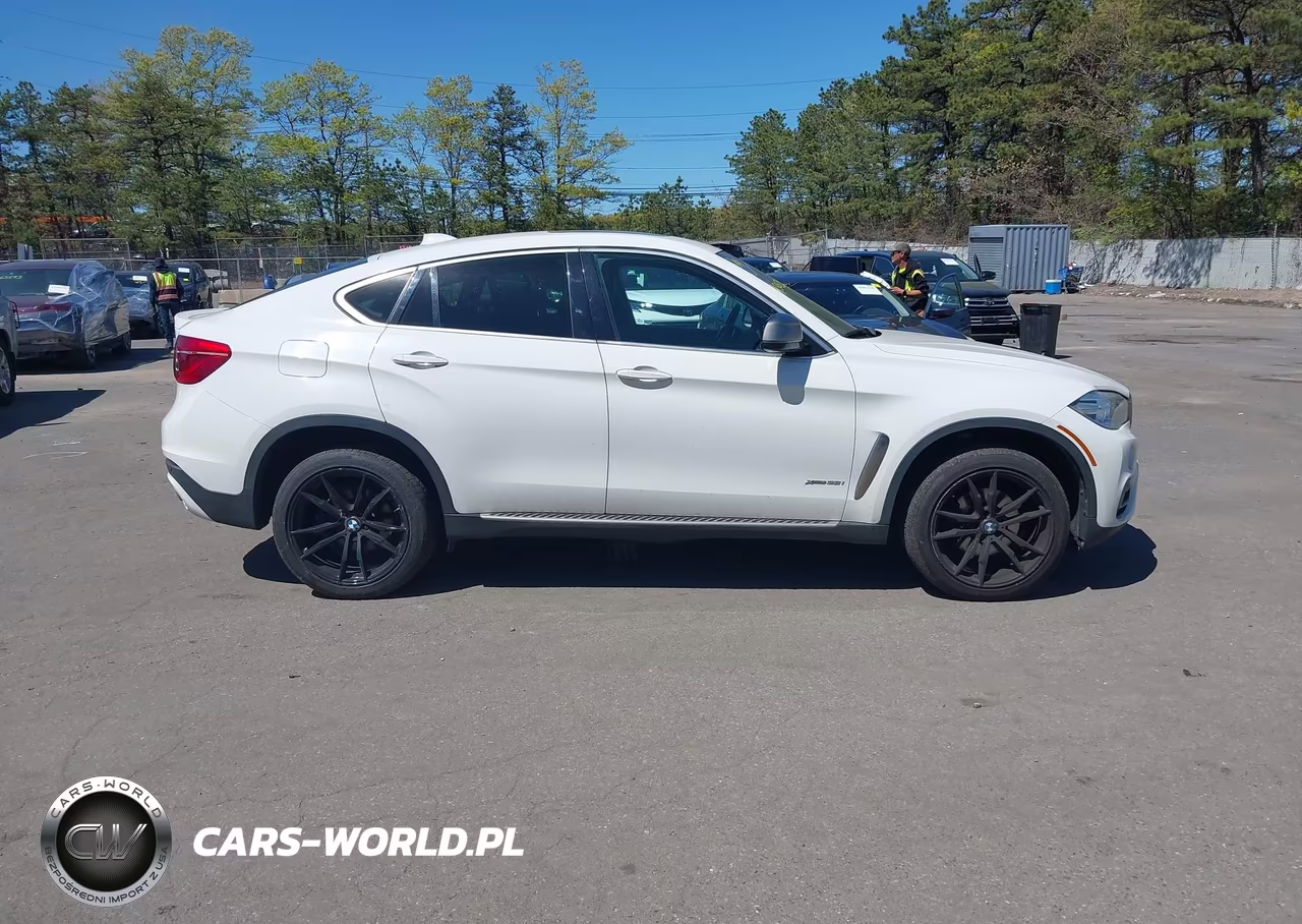 2016 BMW X6 xDrive35I VIN:5UXKU2C55G0N79477 - 13