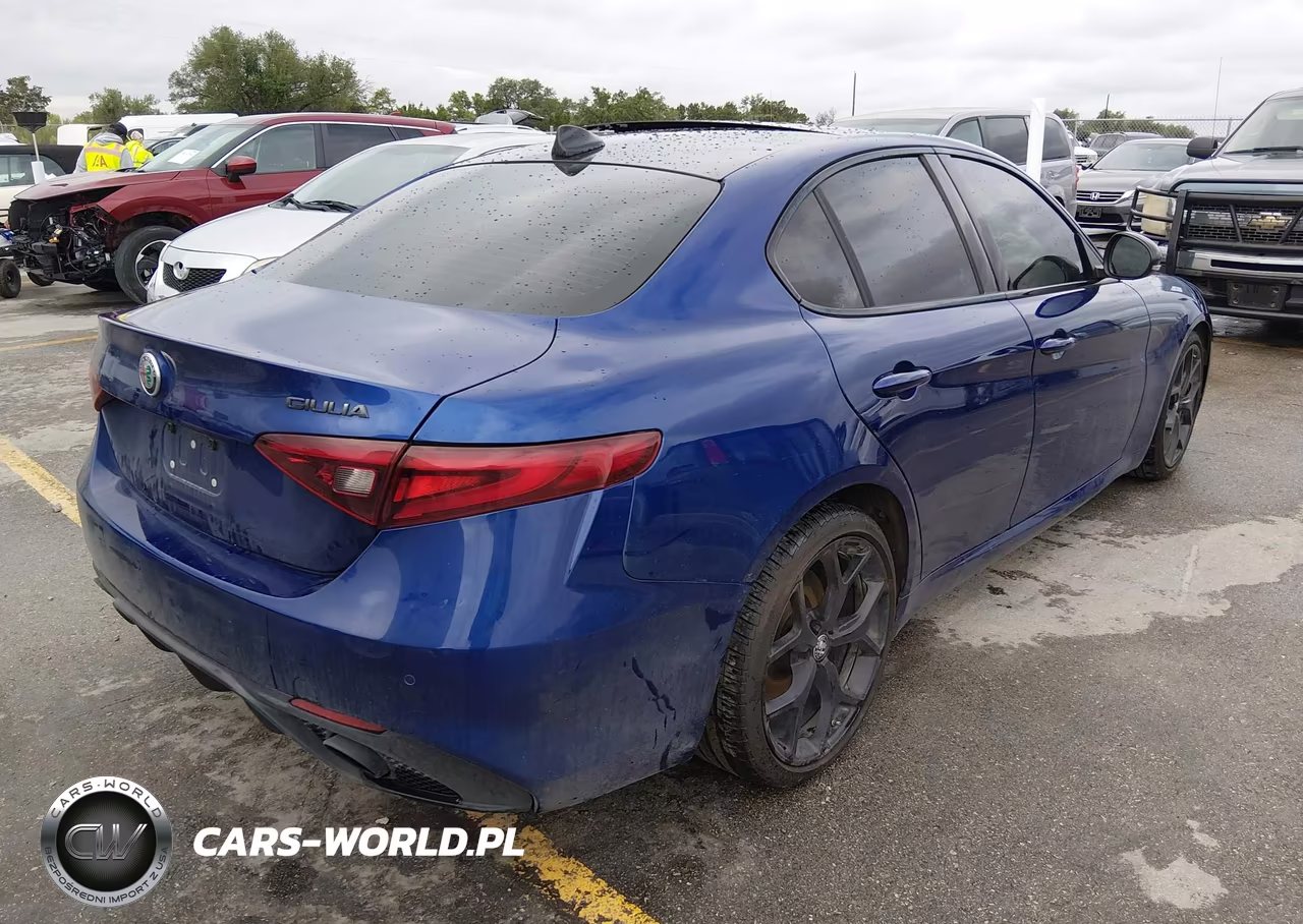 2020 Alfa Romeo Giulia Sport Rwd VIN:ZARFAMAN2L7630404 - 4
