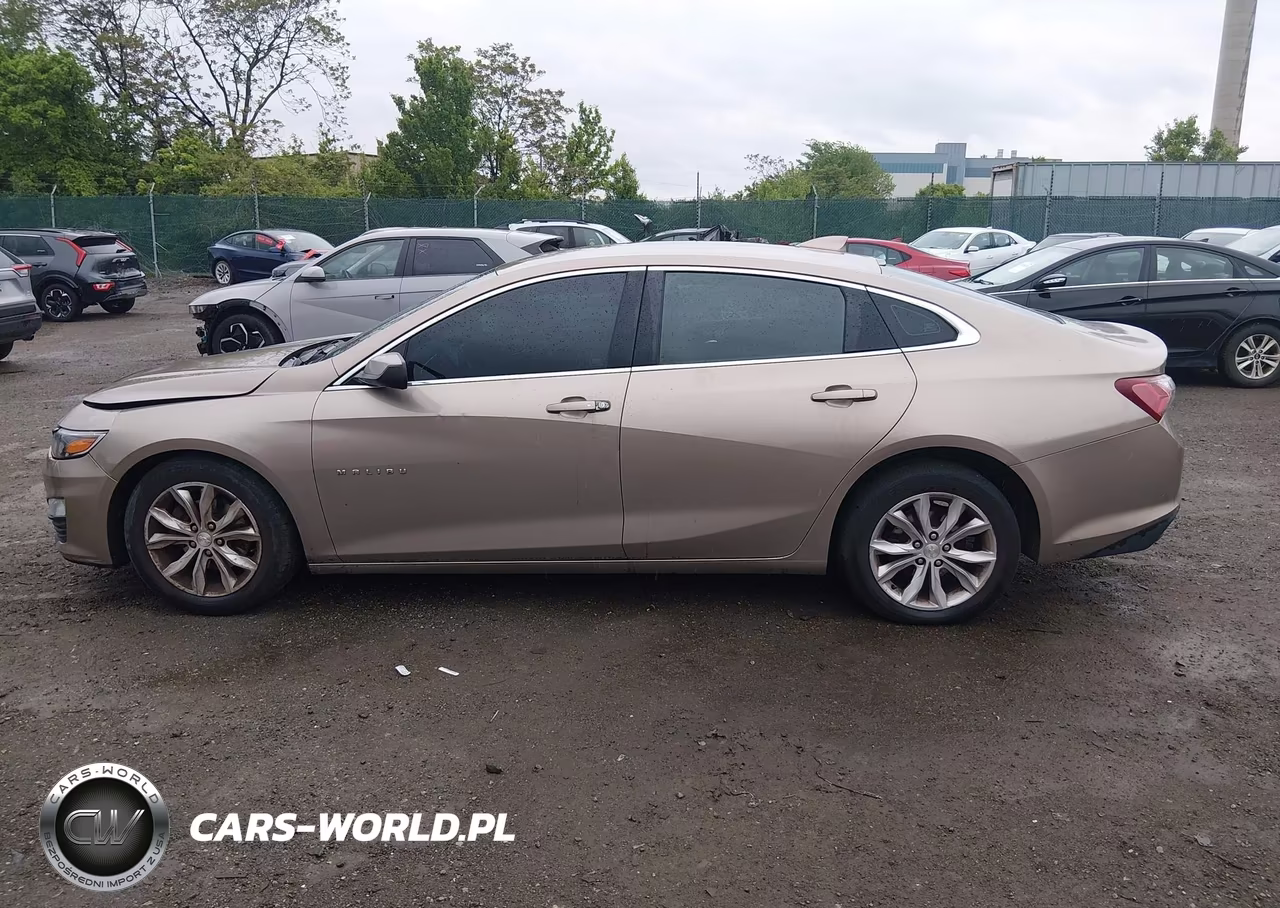 2019 Chevrolet Malibu Lt VIN:1G1ZD5ST8KF141522 - 14