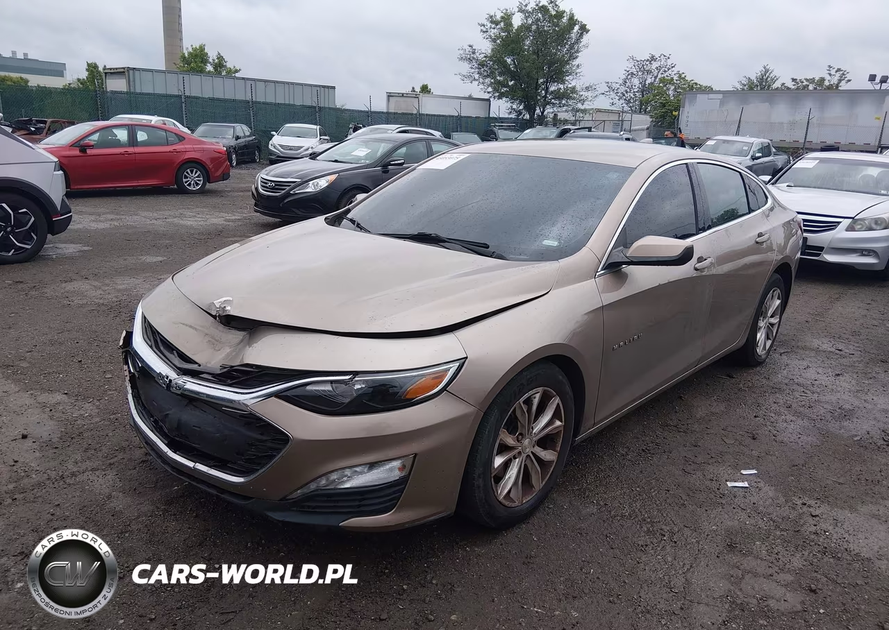 2019 Chevrolet Malibu Lt VIN:1G1ZD5ST8KF141522 - 2