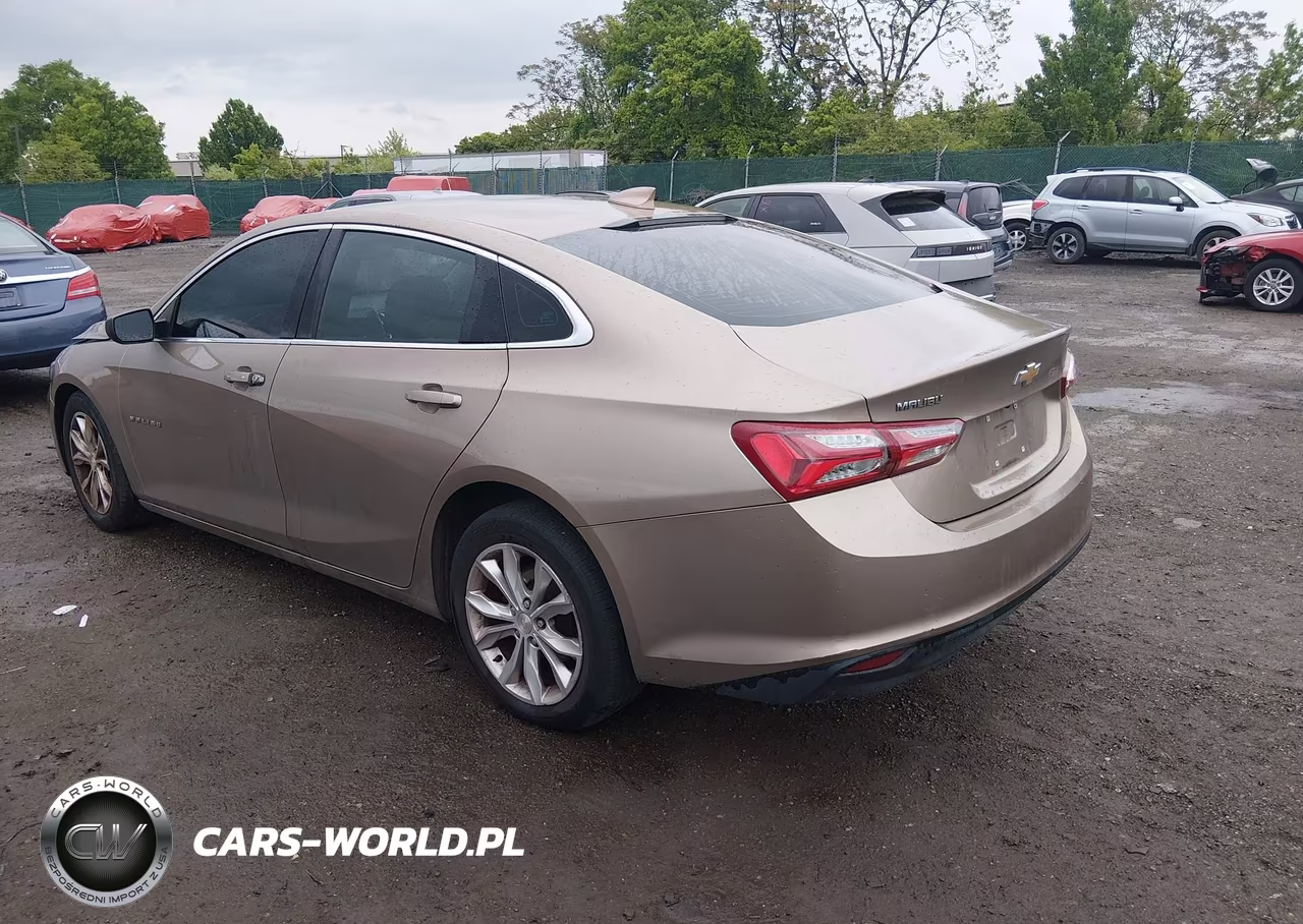 2019 Chevrolet Malibu Lt VIN:1G1ZD5ST8KF141522 - 3