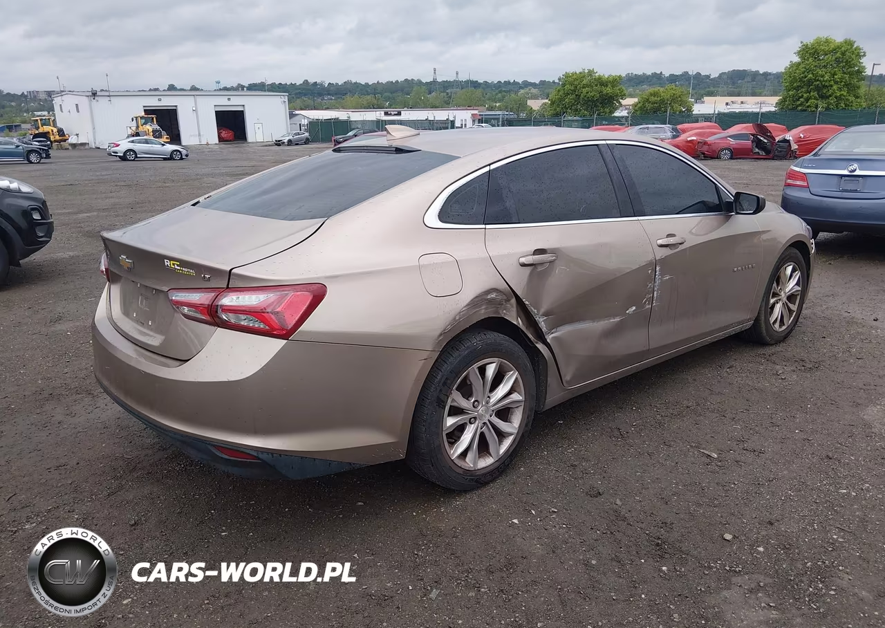 2019 Chevrolet Malibu Lt VIN:1G1ZD5ST8KF141522 - 4
