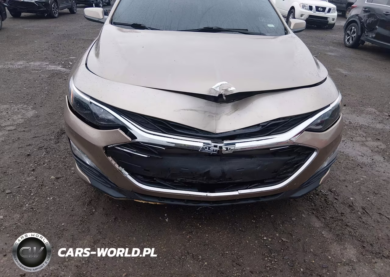 2019 Chevrolet Malibu Lt VIN:1G1ZD5ST8KF141522 - 6