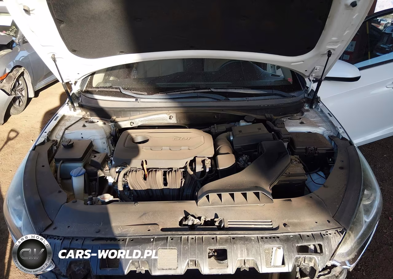 2019 Hyundai Sonata Se VIN:5NPE24AF2KH787100 - 10
