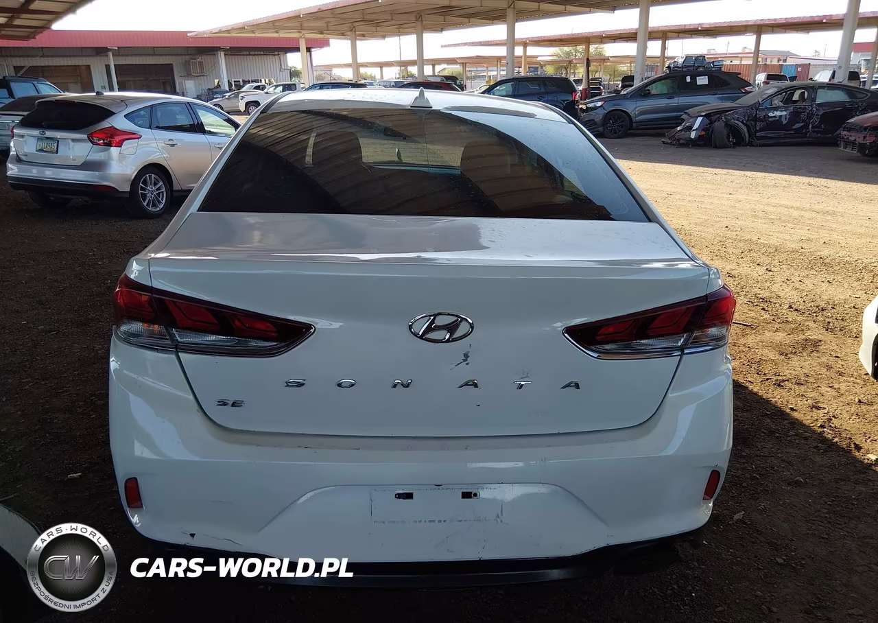 2019 Hyundai Sonata Se VIN:5NPE24AF2KH787100 - 17