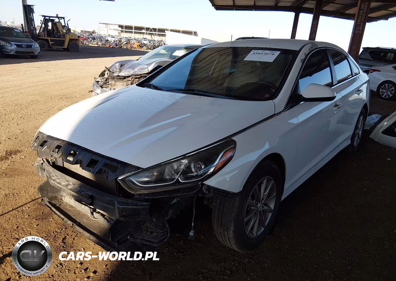 2019 Hyundai Sonata Se VIN:5NPE24AF2KH787100 - 2