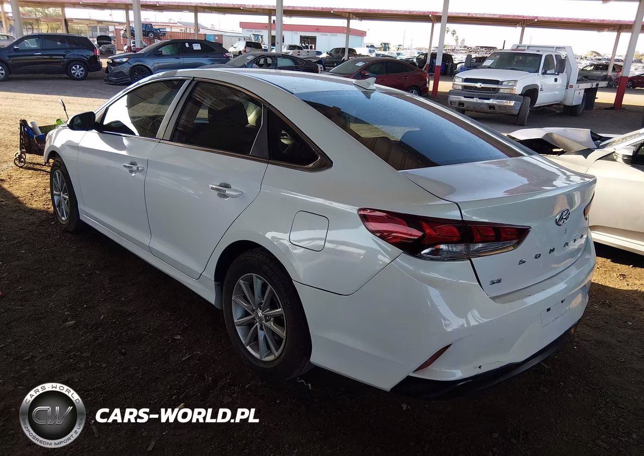 2019 Hyundai Sonata Se VIN:5NPE24AF2KH787100 - 3