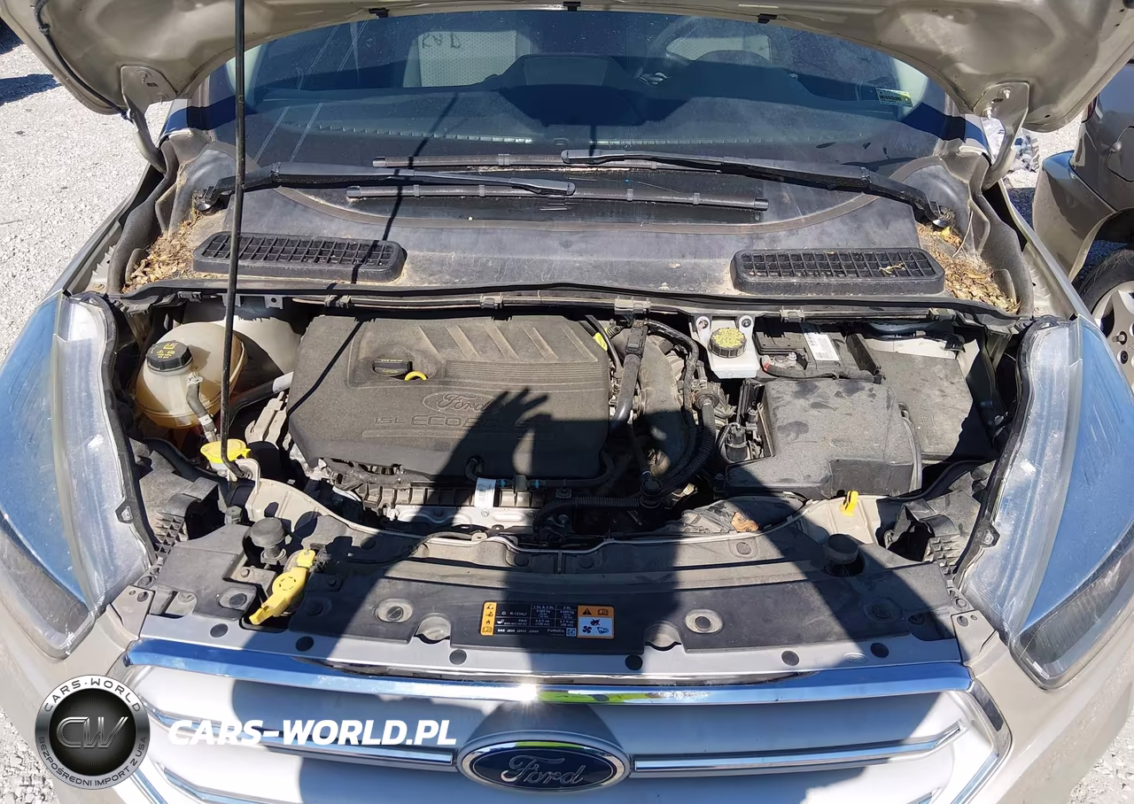 2018 Ford Escape Se VIN:1FMCU0GD4JUB09545 - 10