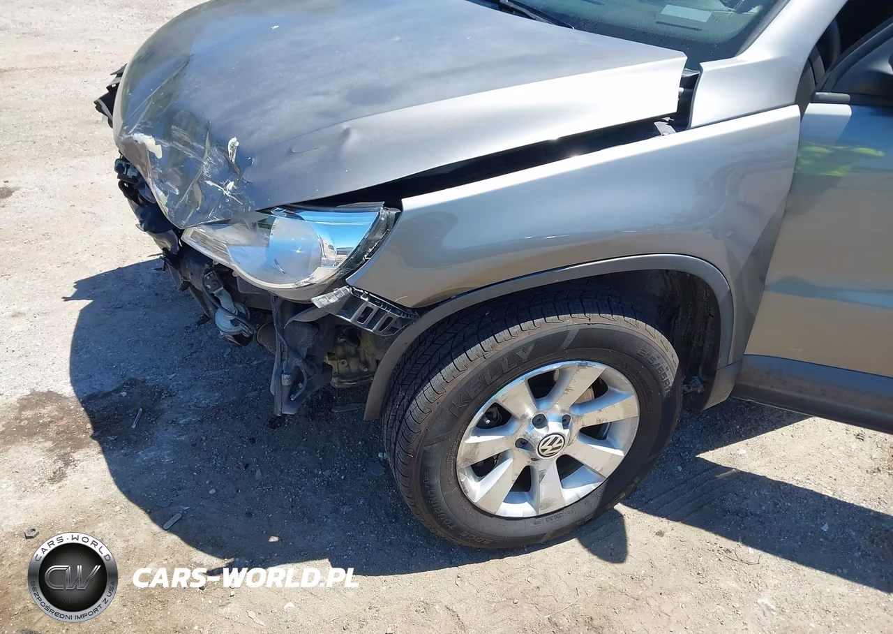 2010 Volkswagen Tiguan S VIN:WVGAV7AX1AW528750 - 6