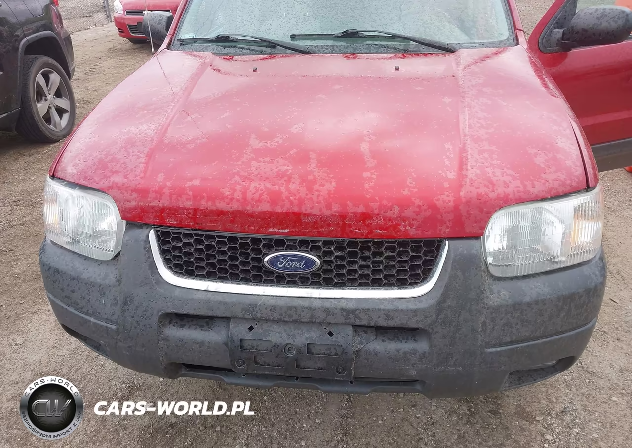 2004 Ford Escape Xlt VIN:1FMYU93184DA07949 - 10