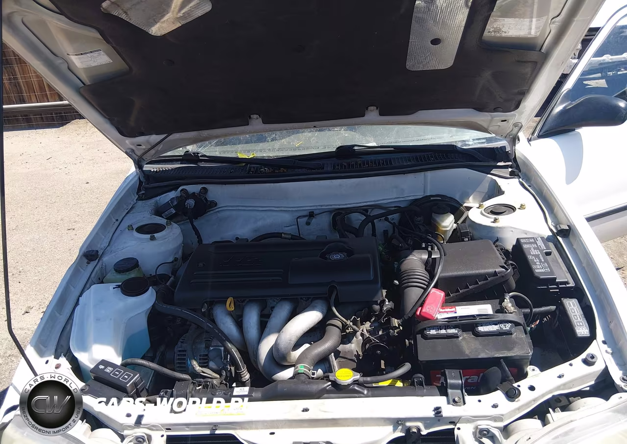 2002 Toyota Corolla Ce VIN:1NXBR12EX2Z586033 - 10