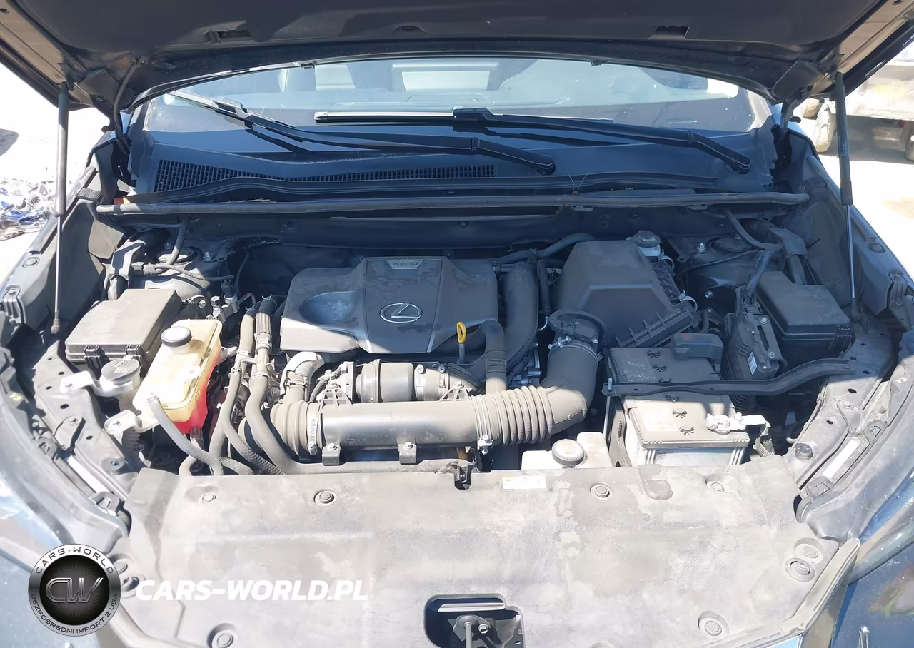 2021 Lexus Nx 300 VIN:JTJGARBZ1M5036037 - 10
