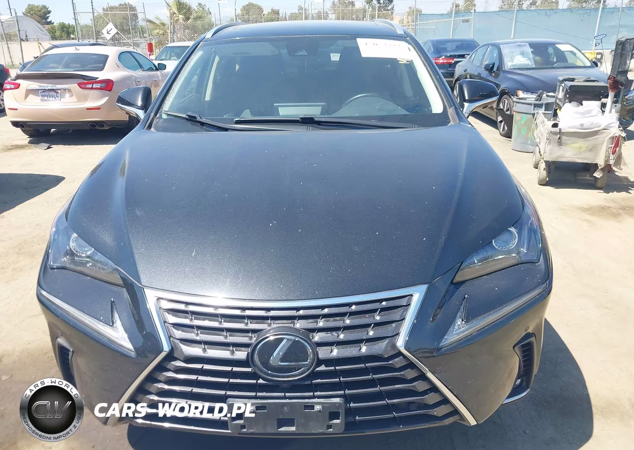 2021 Lexus Nx 300 VIN:JTJGARBZ1M5036037 - 12