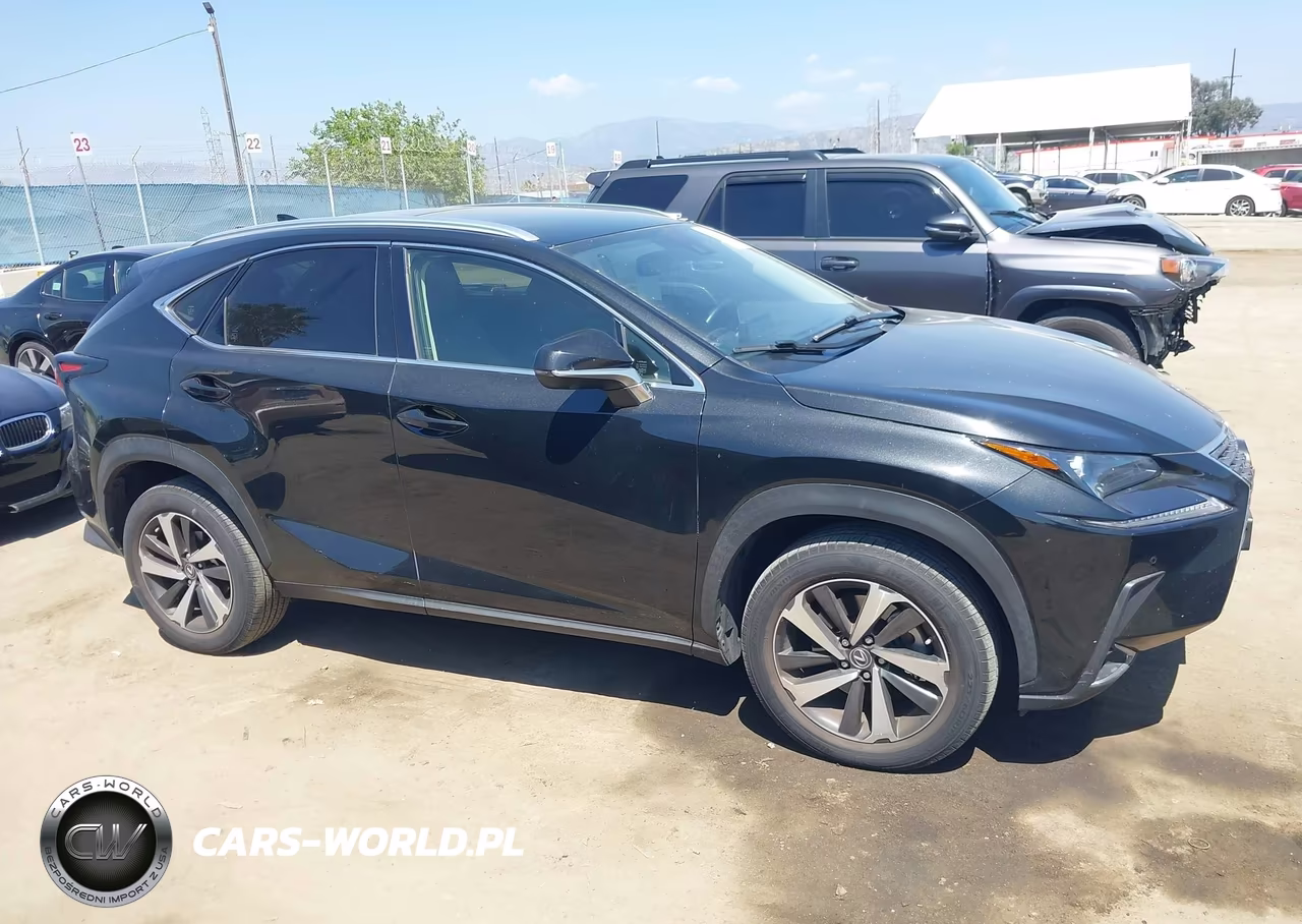 2021 Lexus Nx 300 VIN:JTJGARBZ1M5036037 - 13