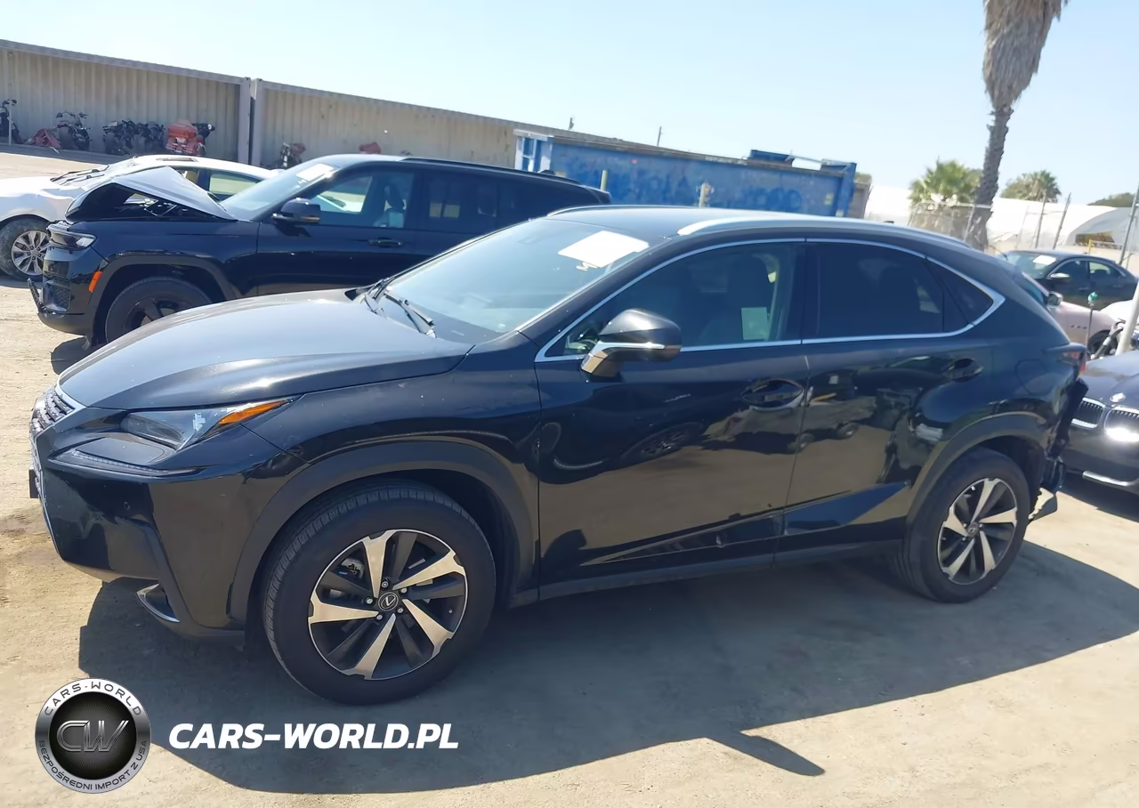 2021 Lexus Nx 300 VIN:JTJGARBZ1M5036037 - 14