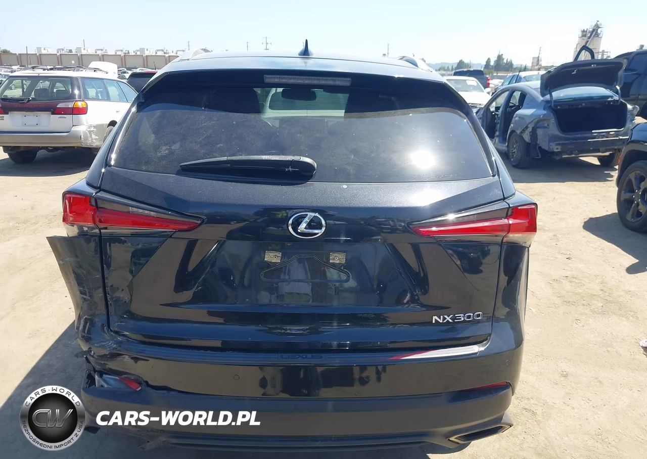 2021 Lexus Nx 300 VIN:JTJGARBZ1M5036037 - 16