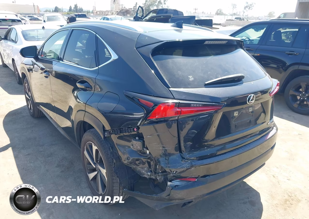 2021 Lexus Nx 300 VIN:JTJGARBZ1M5036037 - 3