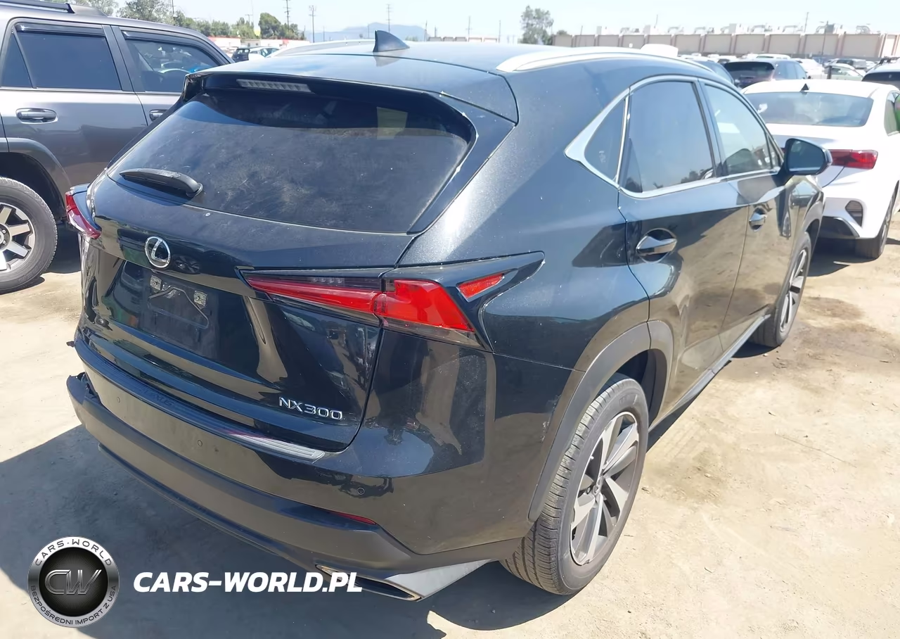 2021 Lexus Nx 300 VIN:JTJGARBZ1M5036037 - 4