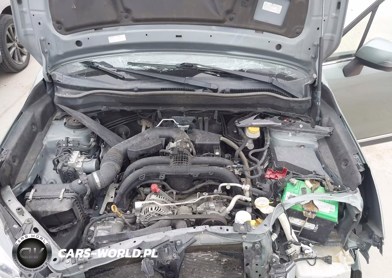 2017 Subaru Forester 2.5I Touring VIN:JF2SJAWC3HH466727 - 10