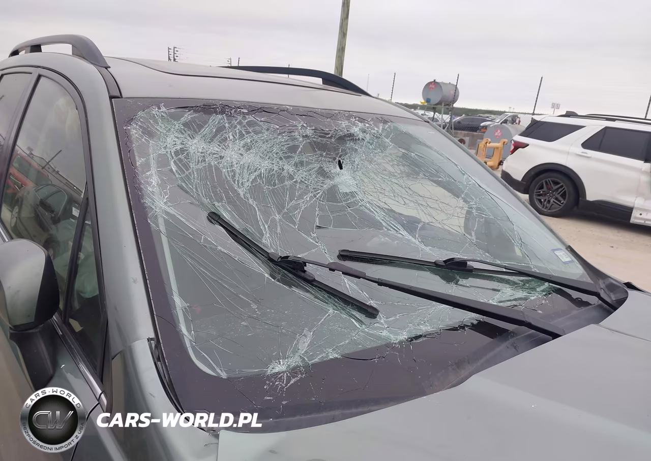 2017 Subaru Forester 2.5I Touring VIN:JF2SJAWC3HH466727 - 6