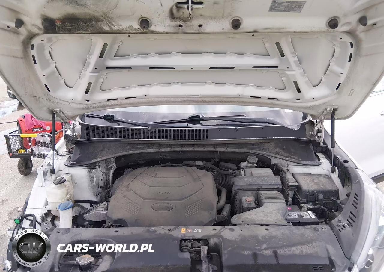 2020 Kia Sorento 3.3L Lx VIN:5XYPGDA54LG683105 - 10