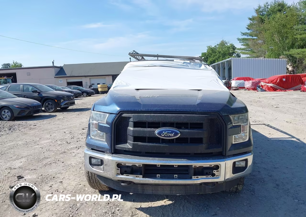 2016 Ford F-150 Xl VIN:1FTEX1EP4GFD28347 - 12