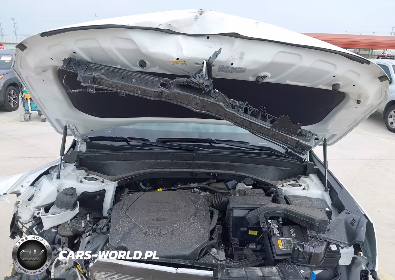 2025 Kia Telluride Sx X-Line VIN:5XYP5DGC5SG729700 - 10