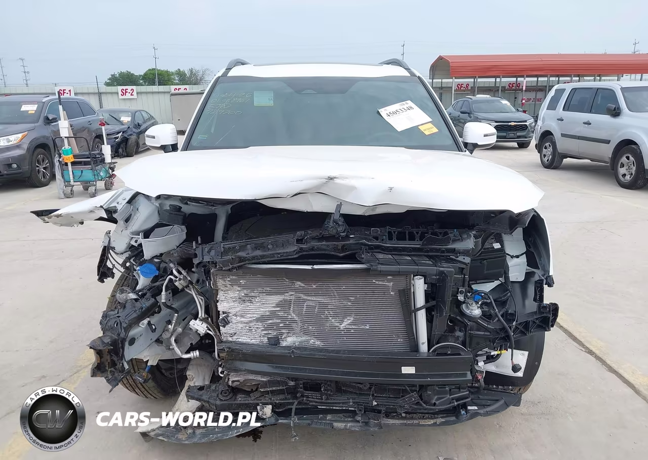 2025 Kia Telluride Sx X-Line VIN:5XYP5DGC5SG729700 - 13